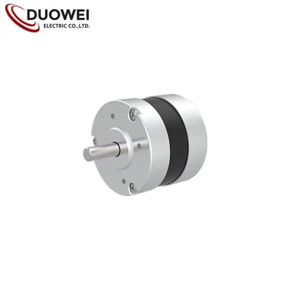24V 3000RPM ব্রাশলেস ডিসি মোটর